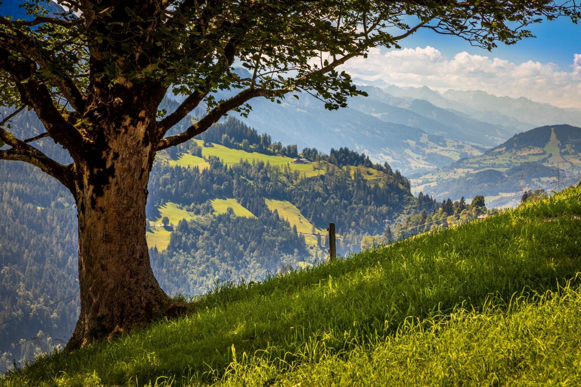 Haus Lindbichl Villa Sankt Johann im Pongau Szoba fotó